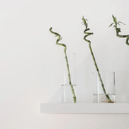 Avant-Garde Oasis - 1Br - Kazimierz 公寓