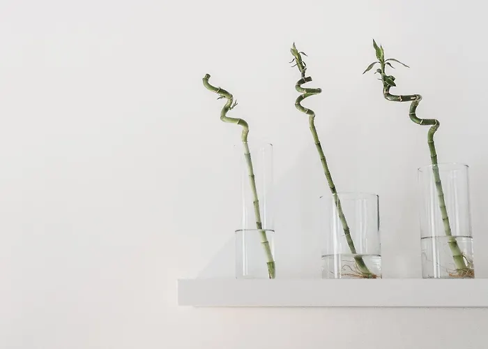 Krakowska 16 Street Kazimierz District Appartement